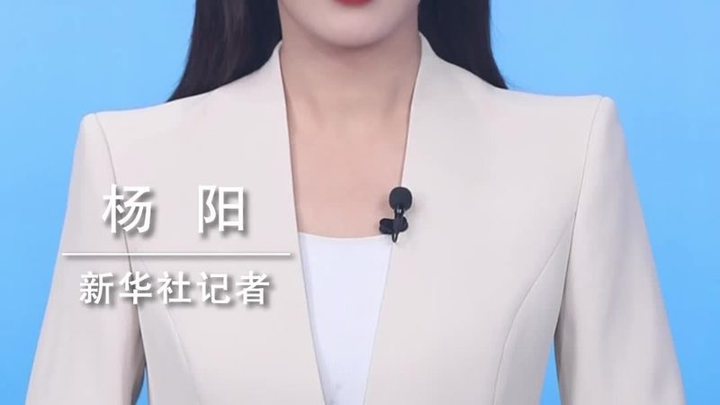 RPA脚本编写：揭秘十大品牌背后的技术奥秘